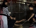 Kontroversi Kematian Anjing Liar ‘Rocky’, Majlis Bandaraya Diraja Klang Beri Penjelasan – “Ia Mengikut Undang-Undang”