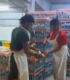 Video Sembelihan Ayam Diragui Tular Di Pasar Pudu, JAKIM Jalankan Siasatan Menyeluruh
