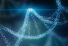 Anthropic Membentuk Makmal Untuk Kajian Biologi