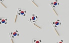Korea Selatan Ingin Membangunkan Model AI Tersendiri Seawal 2027
