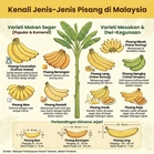 Pisang – Ketahui Jenis, Dimensi Jejari & Khasiat Pemakanan