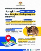 Hantavirus – Cara Merebak, Simptom & Langkah Pencegahan