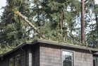 Your Neighbor’s Tree Falls on Your House — Who Actually Pays for the Damage?
