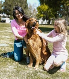 Your Dog Needs $8,000 Surgery — How Much Is Too Much to Spend?