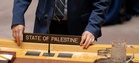 EU dan PBB Gesa AS Pertimbangkan Semula Larangan Visa Delegasi Palestin