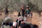 Rabbi Israel Keluarkan Keputusan Agama Halalkan Rampasan Buah Zaitun Palestin