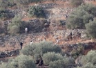 Peneroka Haram Israel Arah 47 Keluarga Palestin Kosongkan Rumah di Tebing Barat