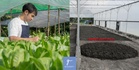 Up to 68% Savings?! This M’sian Innovation Could Help Ease Fertilizer Costs Amid Price Hikes