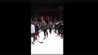 Canada's Mark Carney, Finland's Alexander Stubb play hockey during official visit