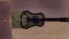 Watch: Giant guitar-shaped forest revealed from the air in Argentina