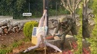 Netanyahu condemns IDF soldier for vandalising Jesus statue in southern Lebanon