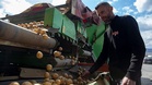 Potato futures soar 700% in less than a month on Iran war speculation