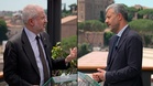 Meloni's foreign policy twist on The Ring: Is Italy turning its back on Israel and US?