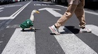 Meet Merlin: The duck that became the World Cup's viral mascot