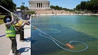 Washington's Lincoln Memorial pool turns green days after renovation