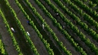 Farms, schools, rail and health services under strain as heatwave grips France