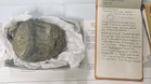 First Antarctic dinosaur fossil confirmed nearly 40 years after discovery