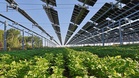 Solar generated record 25% of EU power in June with Germany, Spain and Poland leading the race