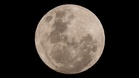 Unplanned impact: NASA says SpaceX rocket parts could hit Moon