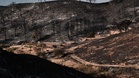Firefighters battle major wildfire as thousands of hectares burn in central Spain