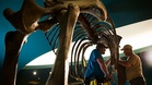 Danube dries up in heat: Skeleton of giant mammoth uncovered in Bulgaria
