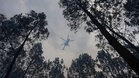 Wildfires: Var department once again facing the flames