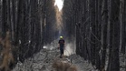 What tools does the EU have to fight wildfires? Are they enough?