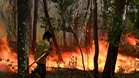 Wildfires force evacuations on Greek island of Kefalonia