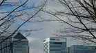 HSBC profit jumps as bank unveils major share buyback plan