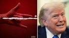 'Disney need to sue': White House blasted over Spider-Man ICE campaign post