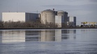 Jellyfish surge forces EDF to shut three reactors at Gravelines nuclear plant