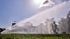 Germany reports record 14,000 heat-related deaths this year, official data shows