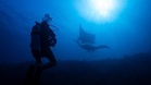 World's oceans hit hottest temperature ever recorded in August as El Niño takes hold