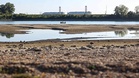 Heatwaves and secret emissions: Why nuclear power may not be as ‘green’ as you think