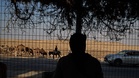 Israeli settlers seizing natural springs in the West Bank