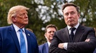 Elon Musk returns to Trump administration to co-lead Pentagon war study