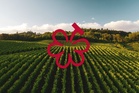 Michelin Grapes: The Michelin Guide launches a new distinction for wine