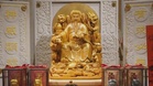 Taipei Pet Temple Seats Animals Beside Its God, Not Underfoot