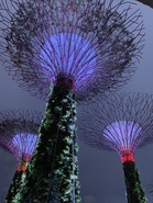 Opinion | Why Malaysians Claim to Dislike Singaporeans (But Secretly Don’t)