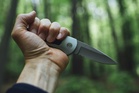 Bringing Knives to School: Opening the Wounds of the Malaysian Education System