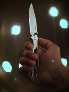 The Rise of Knife Crime in London: Lessons from the Cambridge Train Attack 