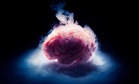 Scientists Revive Mouse Brains Frozen to -196°C, Hinting at Possible Human Applications