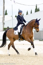 Saddled up! Jalandharequestrian Jai eyes Asiad after strong European swing