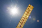 Heatwave leaves national capital’s wildlife gasping