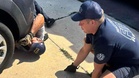 Firefighters called to a blocked exhaust pipe: the rescue takes a surprising turn