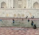Beating the heat: ’Monkey business’ in Taj Mahal fountain goes viral