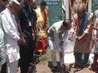 Union Agri Minister Shivraj Singh Chouhan plants saplings on World Environment Day