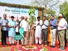 World Environment Day: Gujarat Chief Minister launches state-wide "Ek ped maa ke naam 3.0" campaign