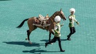 Turkmenistan's 'heavenly' Akhal-Teke horses celebrated in annual beauty pageants