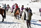 HRTC’s e-bus tour to Rohtang emerges as pocket-friendly choice for tourists